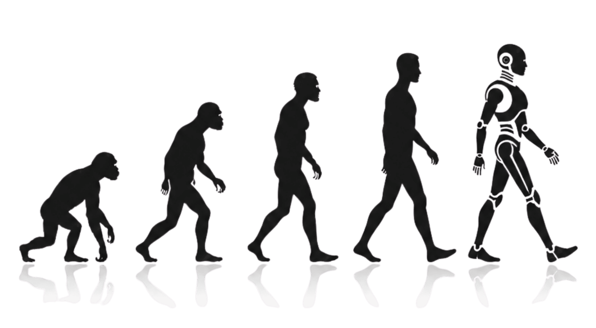 Scavolution